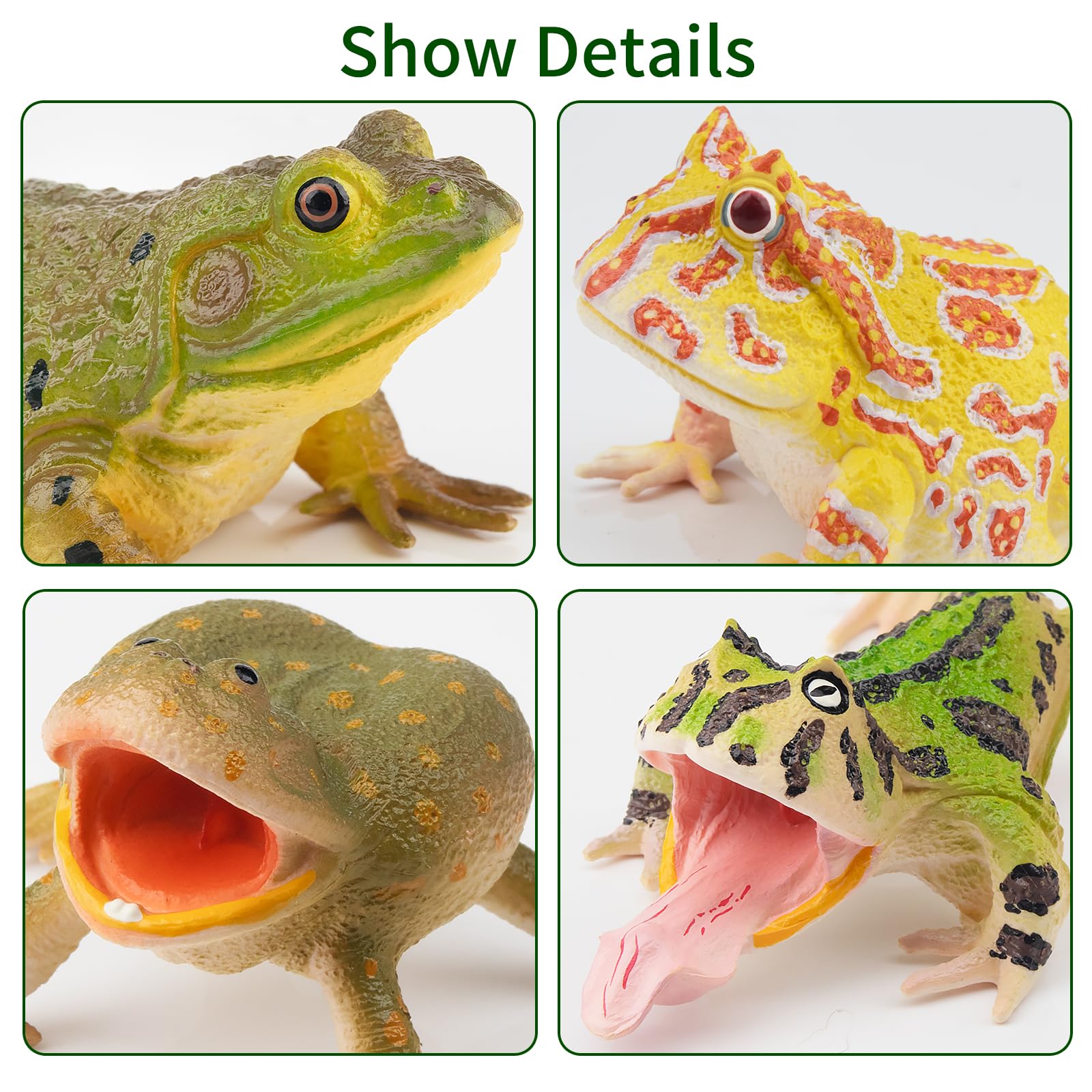 TOYMANY Pack of 12 Frog Animal Figures Frogs Toy Set Plastic